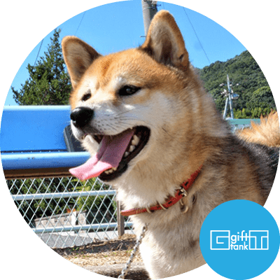 保護犬・愛ちゃん