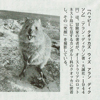毎日新聞 2018年6月17日号