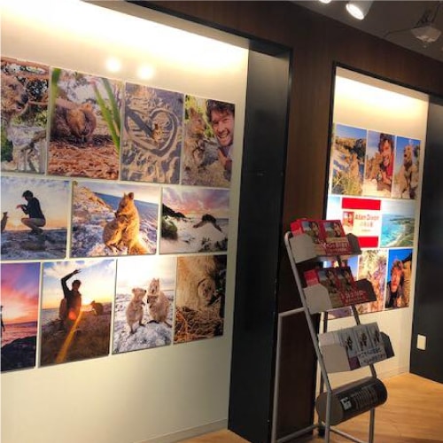 5月16日〜5月31日に渡り、パネル展をタワーレコード渋谷店２Fで開催いたします。