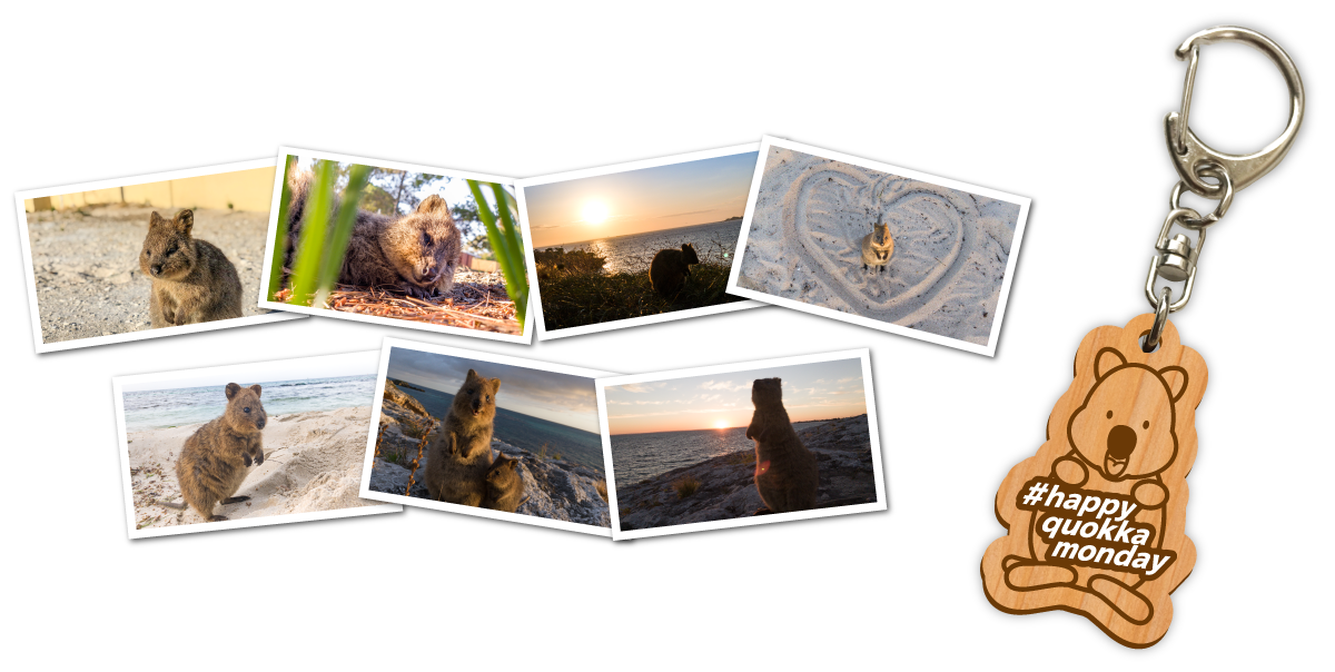 クオッカの特典映像全7種